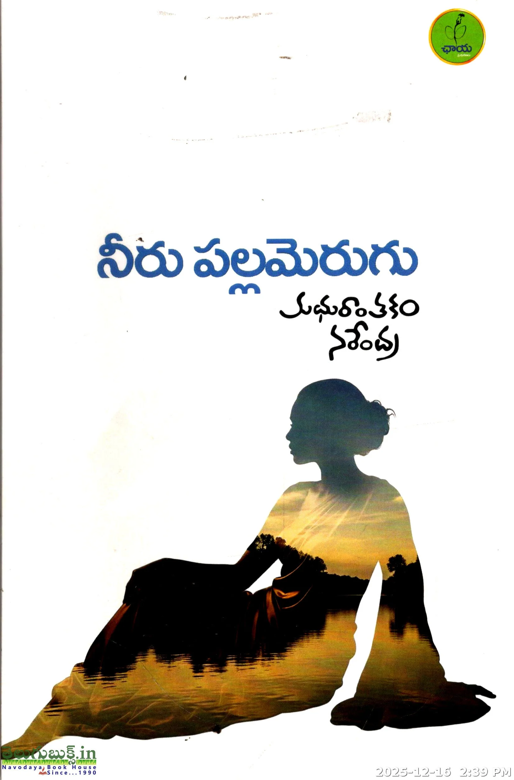 Neeru Pallamerugu