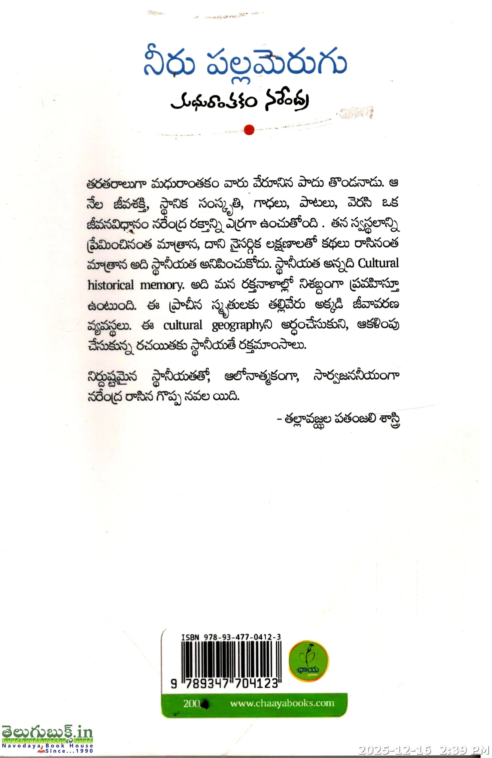 Neeru Pallamerugu - Image 2