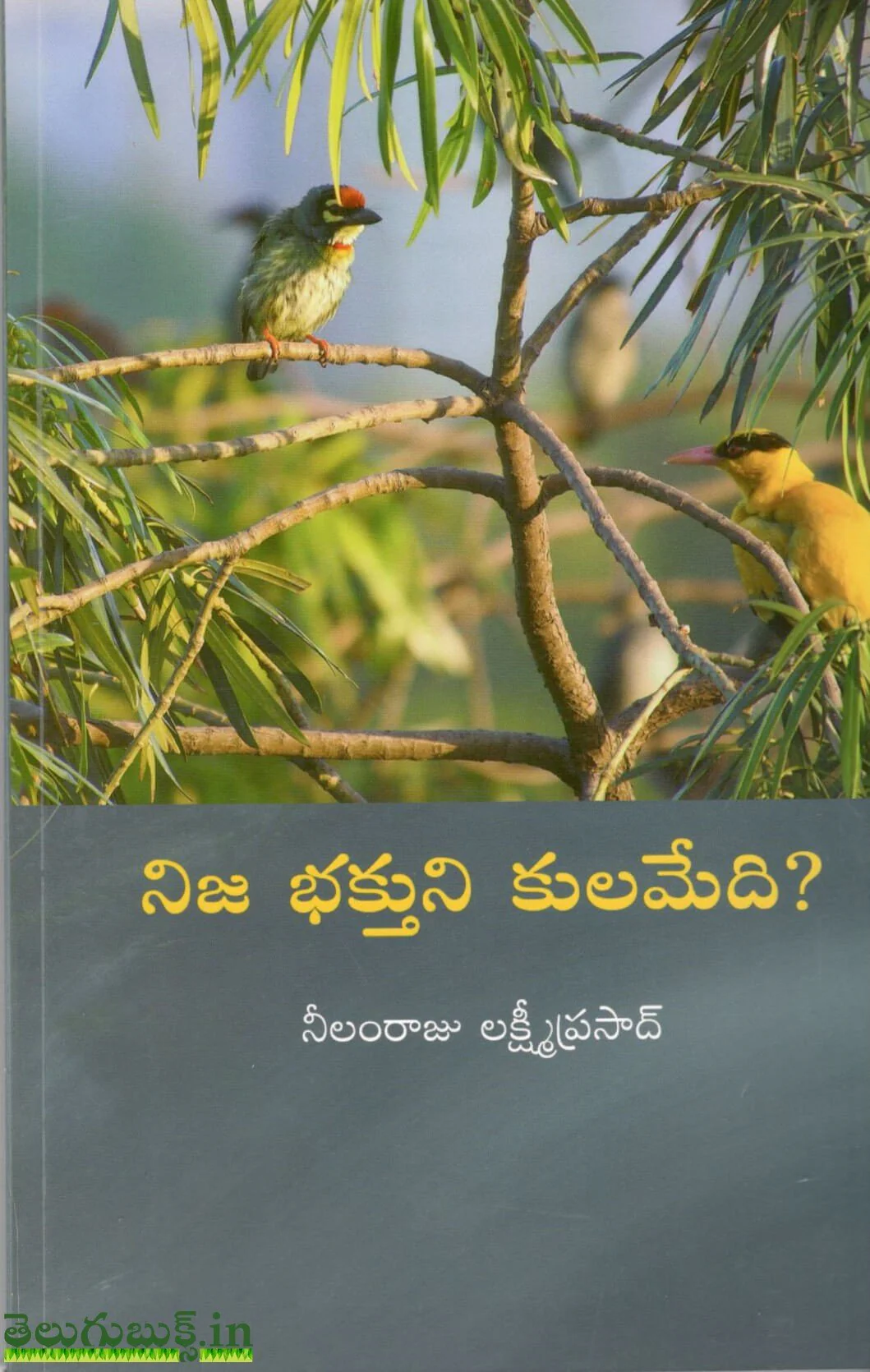 Nija Bhakthuni Kulamedi