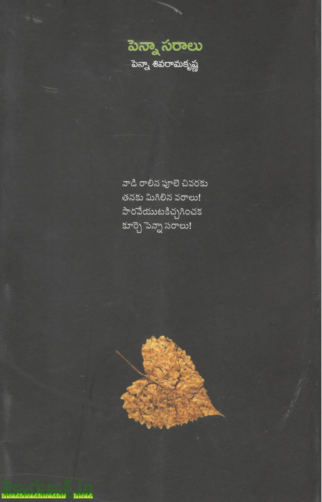 Penna Saraalu - Image 2
