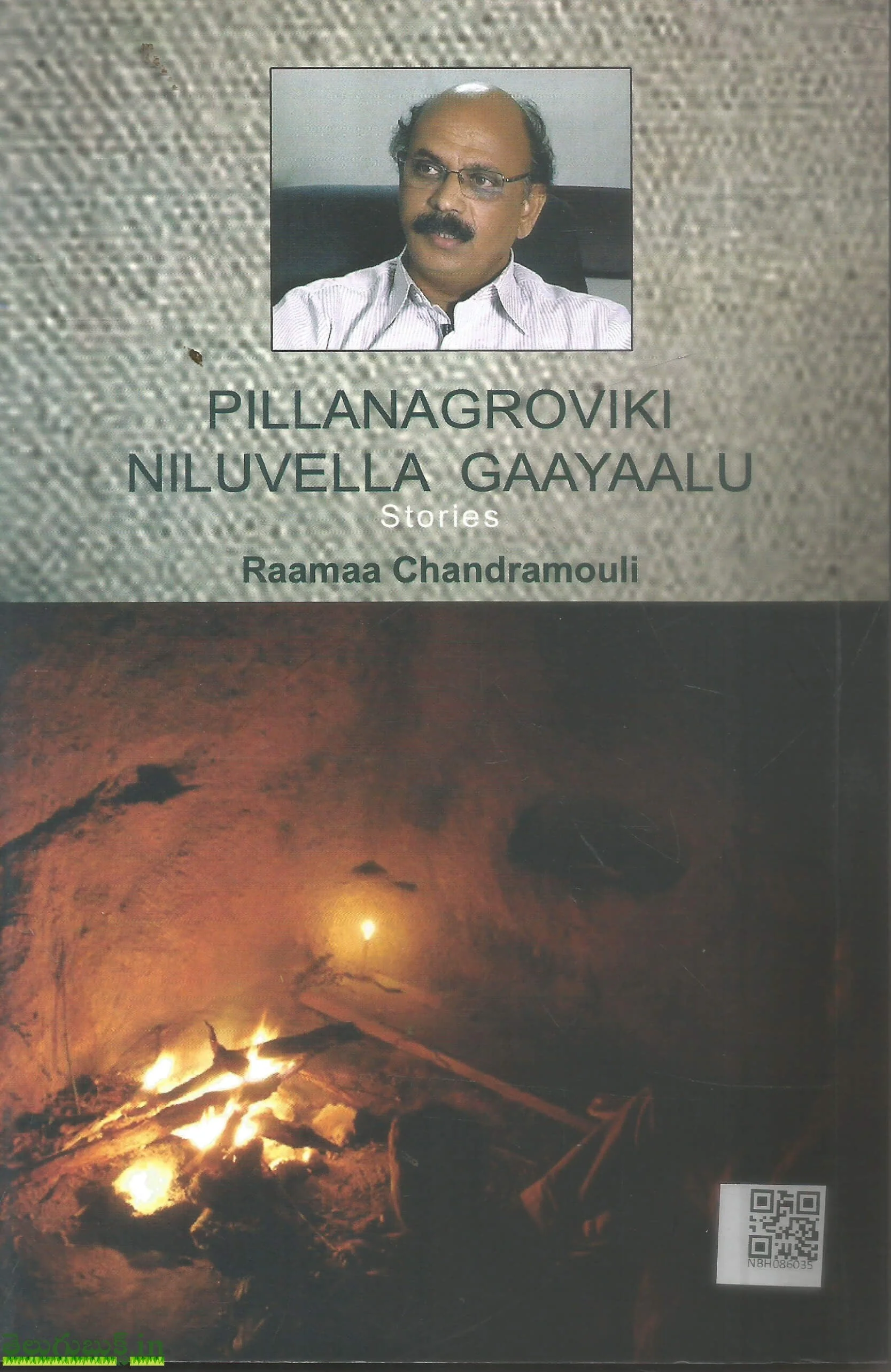 Pillanagroviki Niluvella Gayaalu - Image 2