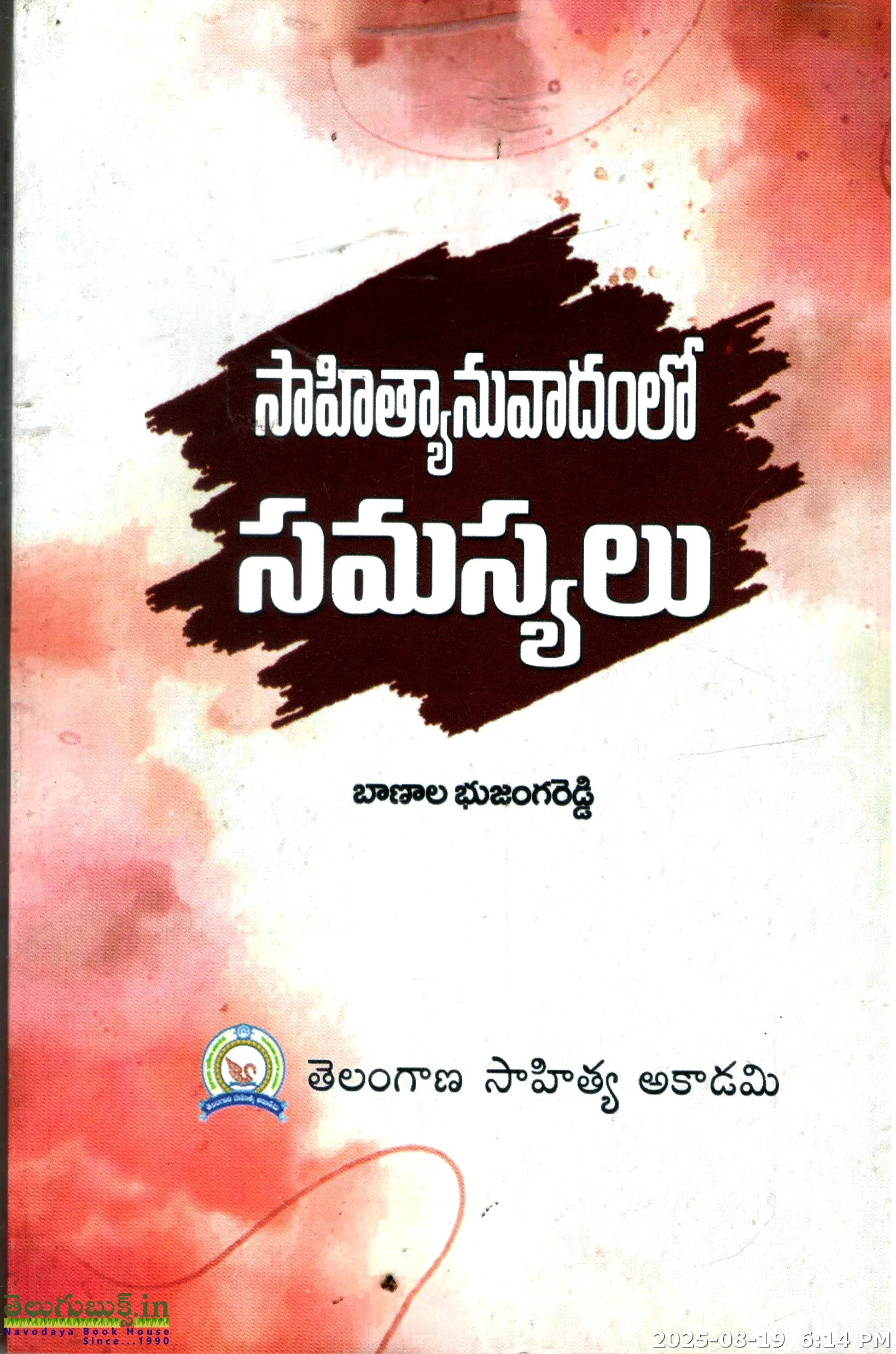 Sahityanuvadamlo Samasyalu