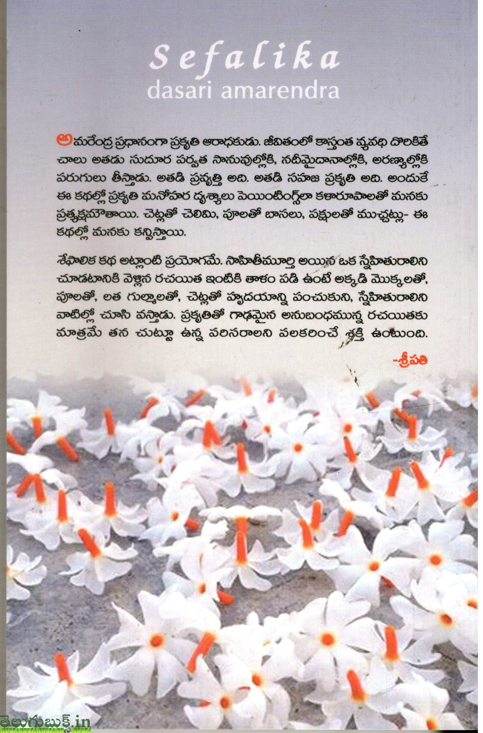 Sefalika - Image 2